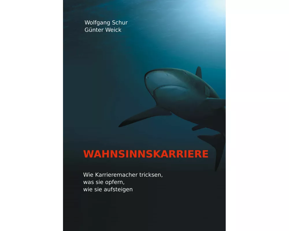 Wahnsinnskarriere