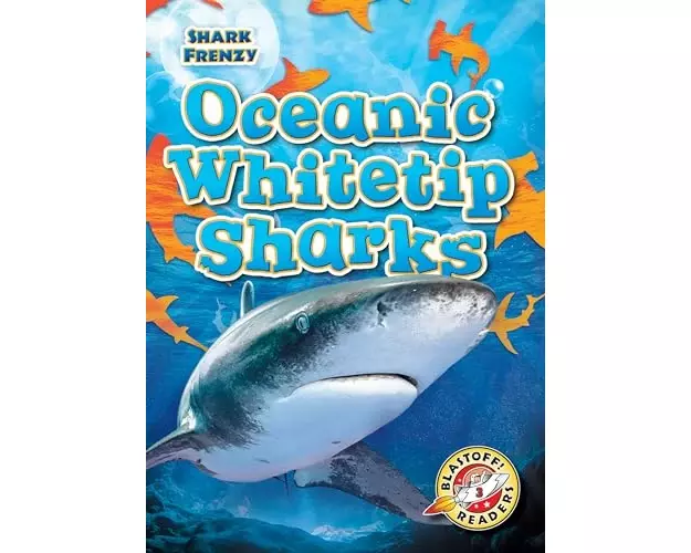Oceanic Whitetip Sharks