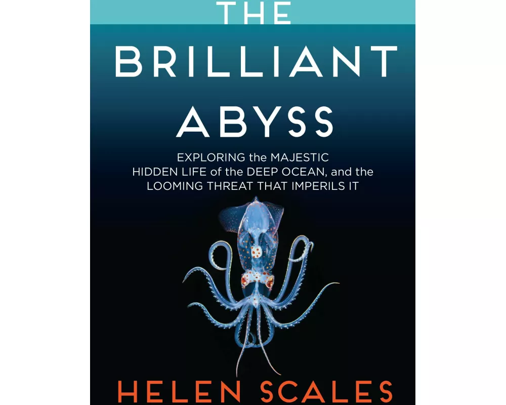 The Brilliant Abyss