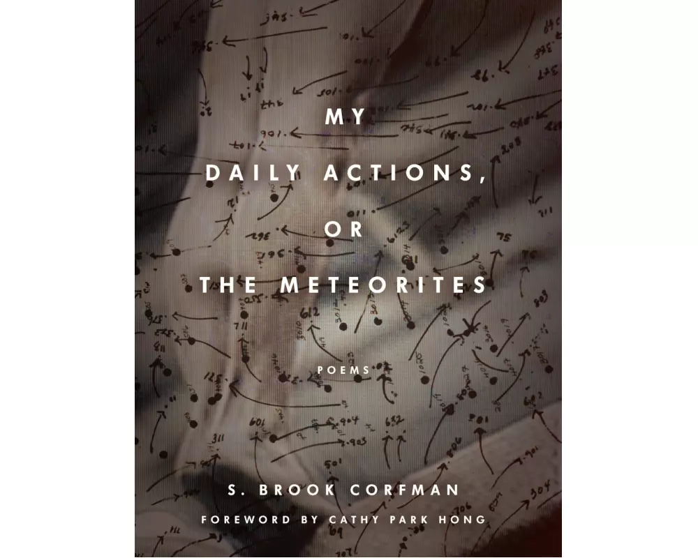 My Daily Actions, or The Meteorites