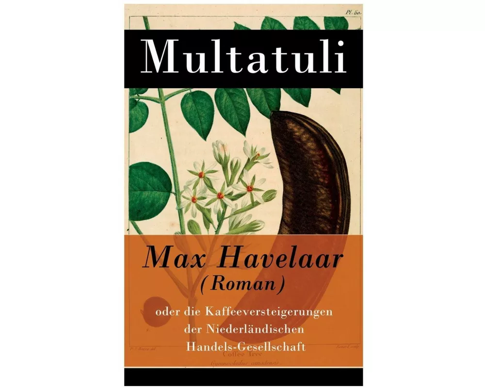 Max Havelaar (Roman)