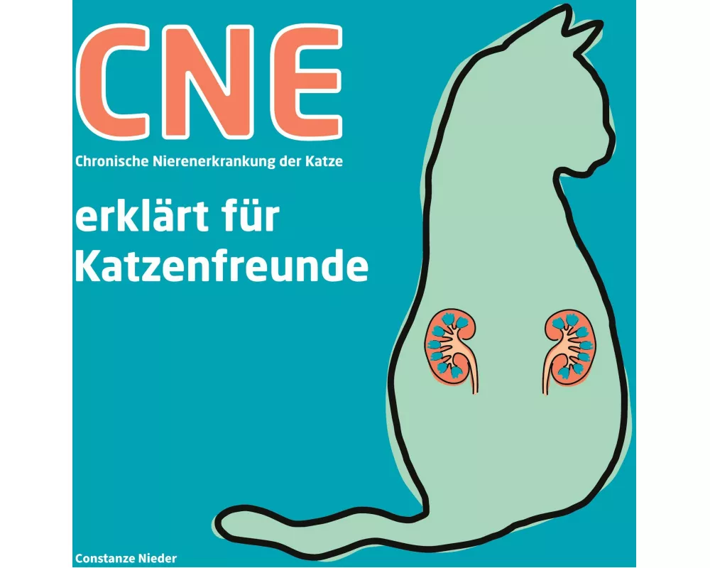 CNE Chronische Nierenerkrankung der Katze