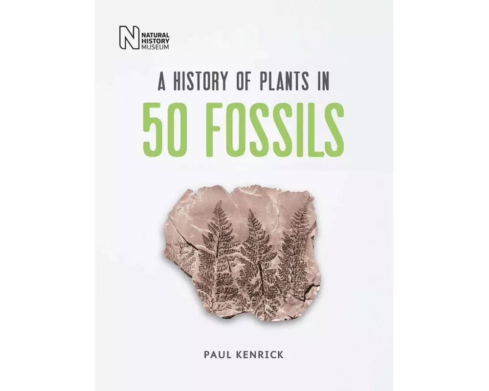 A History of Plants in 50 Fossils