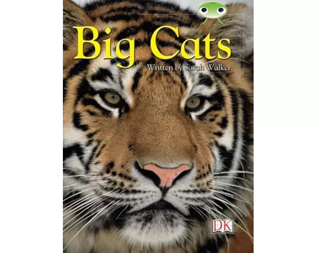 BC NF Brown B/3B Big Cats