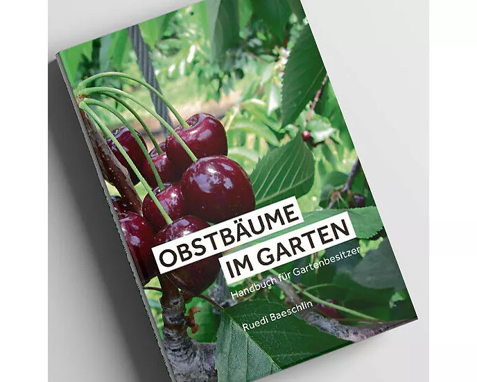 Obstbäume im Garten