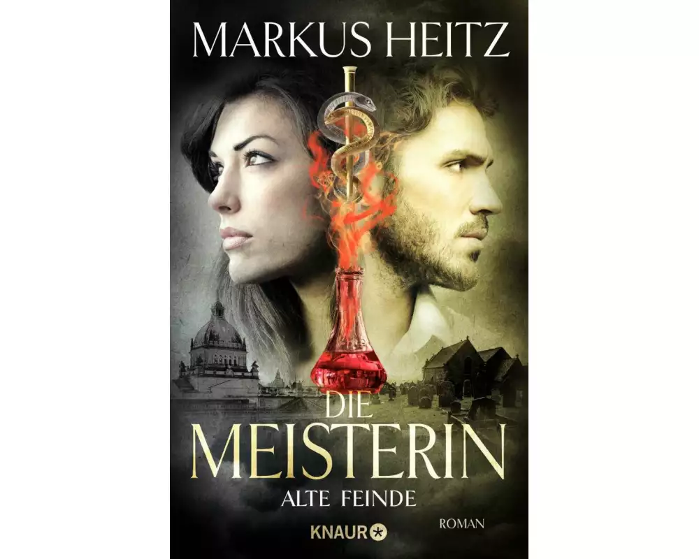 Die Meisterin: Alte Feinde