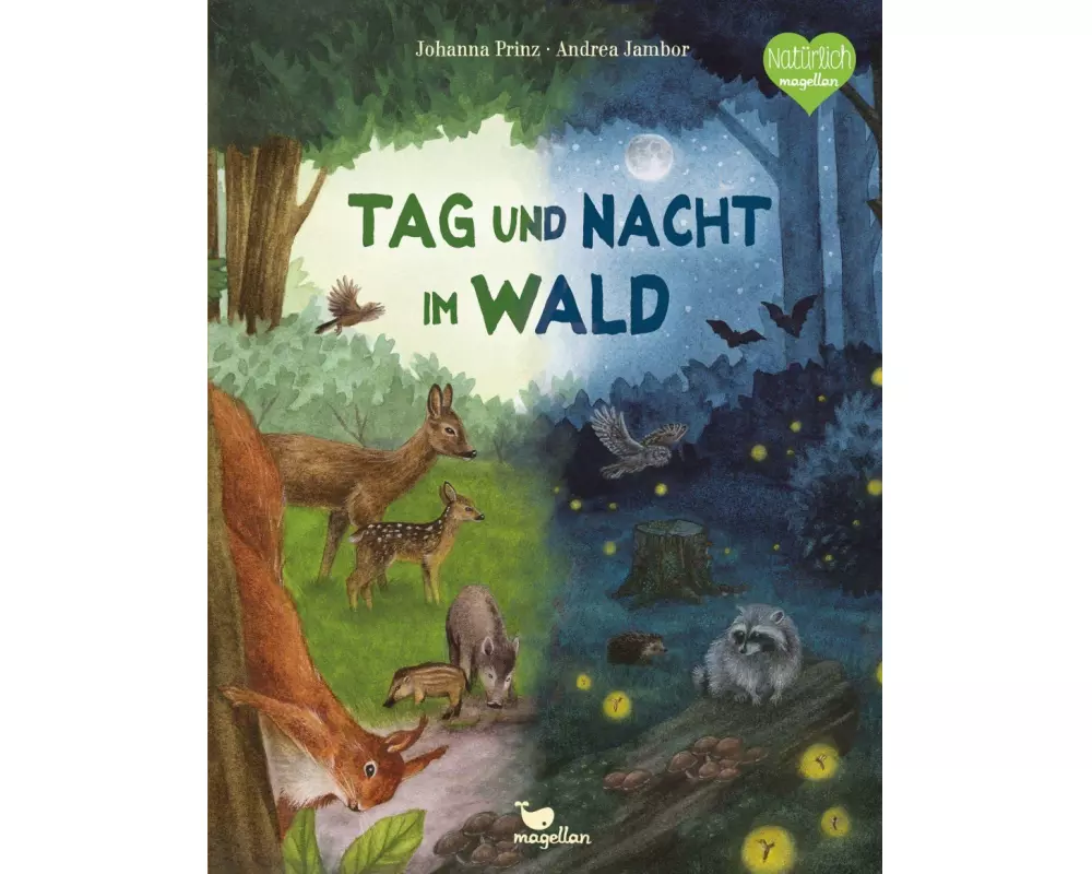 Tag und Nacht im Wald