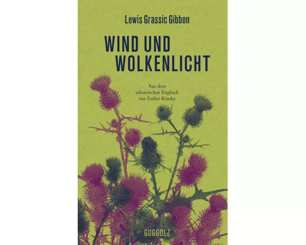 Wind und Wolkenlicht