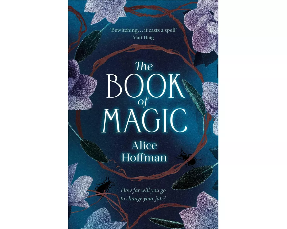 The Book of Magic: Volume 4
