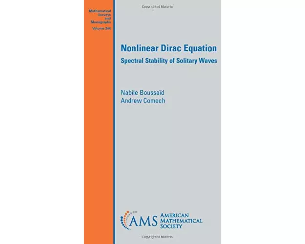 Nonlinear Dirac Equation