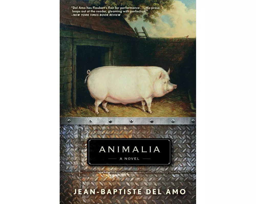 Animalia