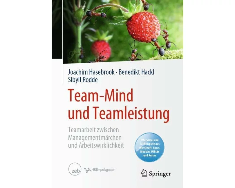Team-Mind und Teamleistung