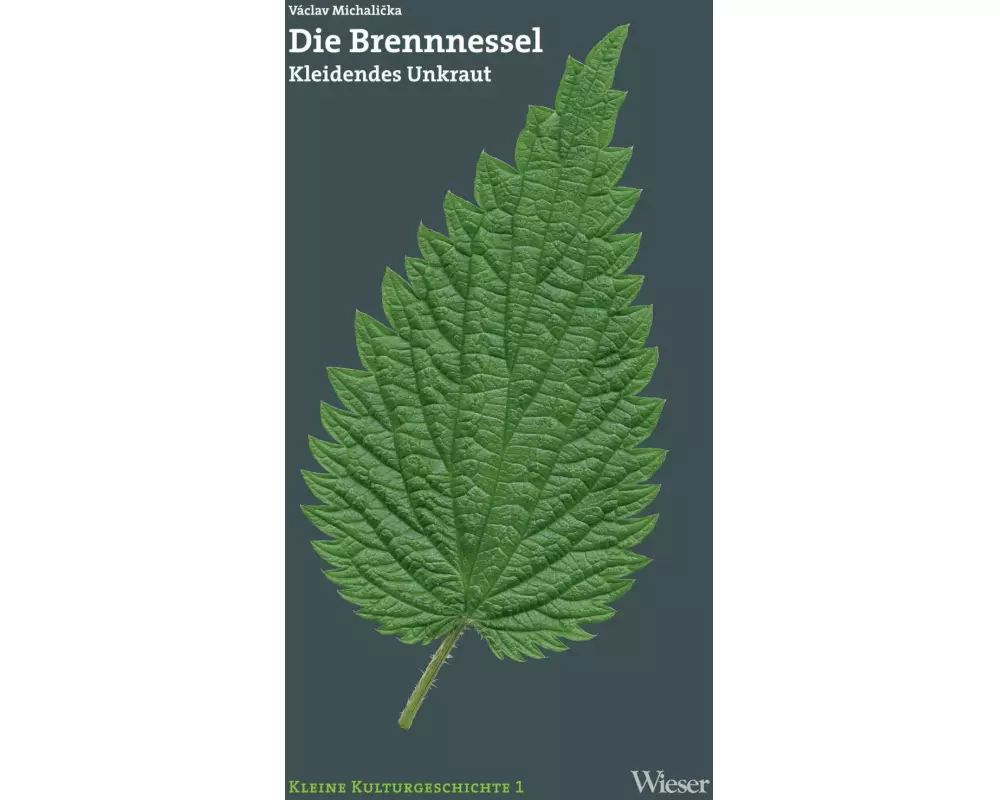Die Brennnessel