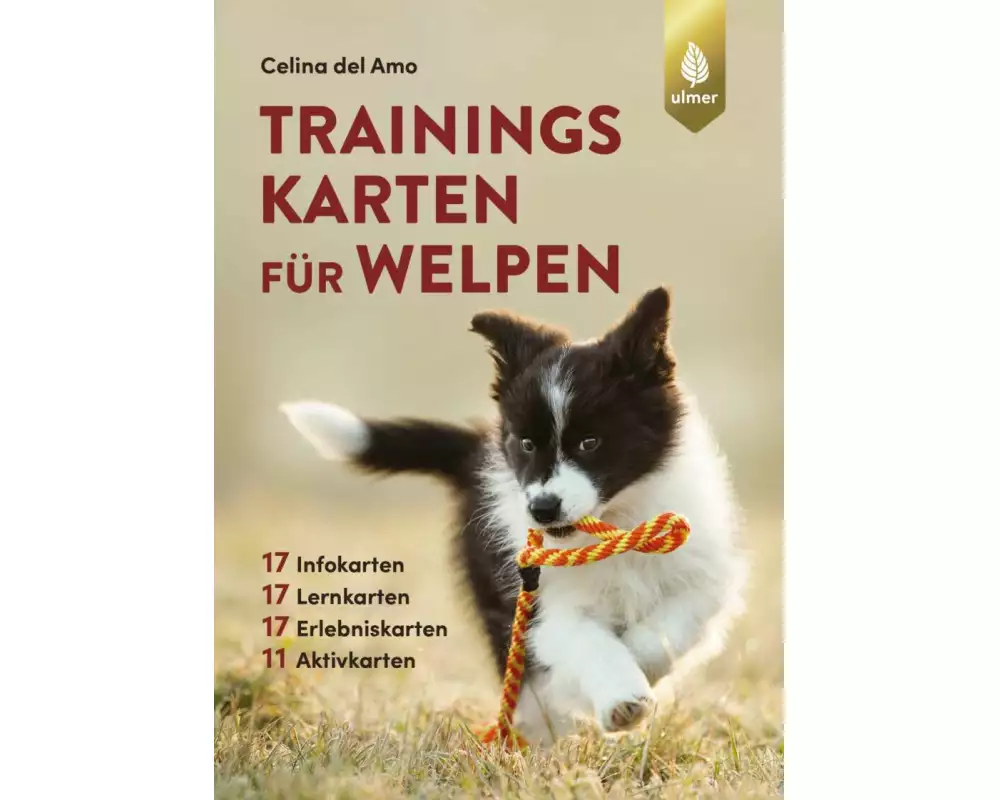 Trainingskarten für Welpen