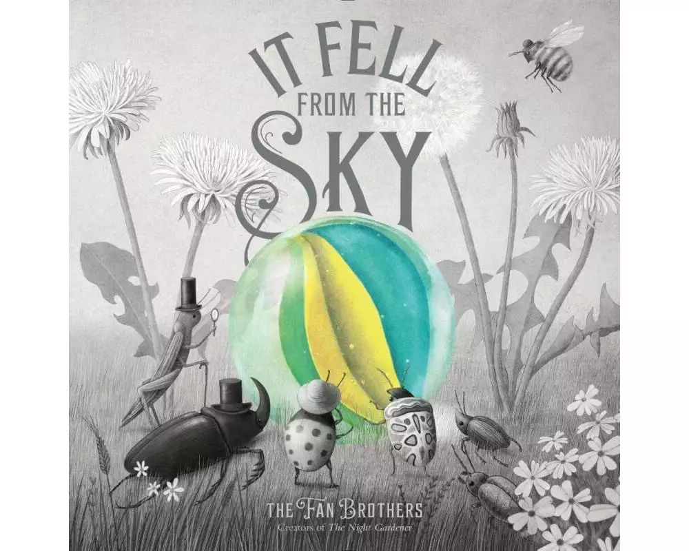 It Fell From The Sky