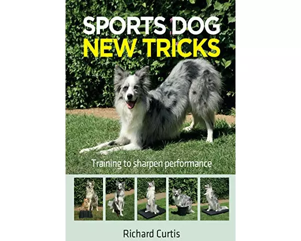 Sports Dog New Tricks