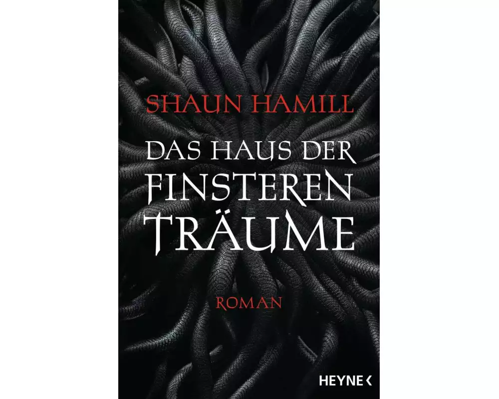 Das Haus der finsteren Träume