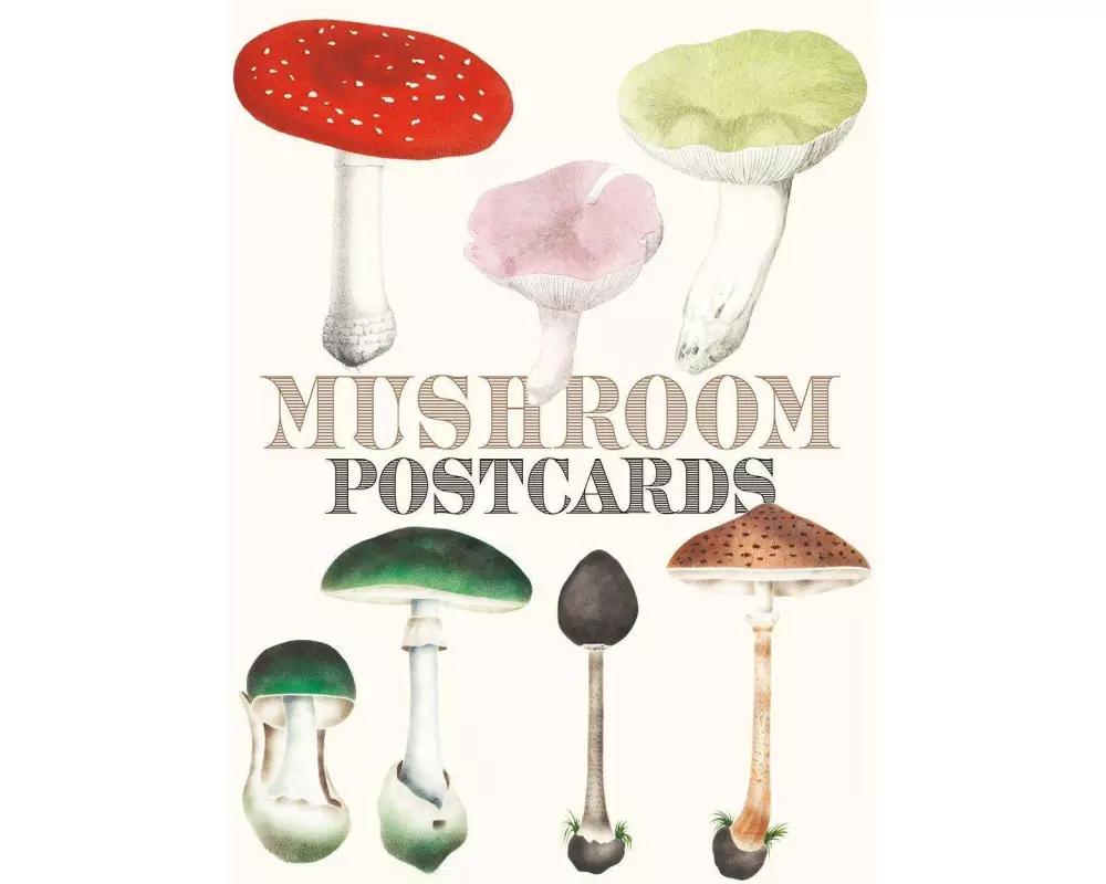 Mushroom Postcards