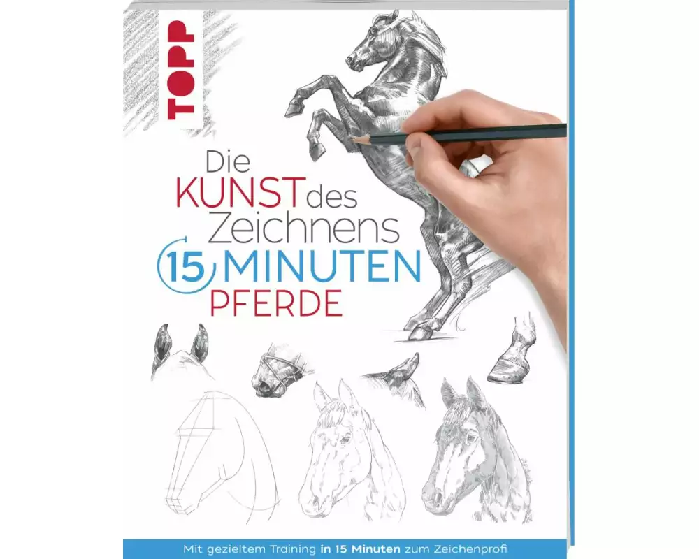 Die Kunst des Zeichnens 15 Minuten - Pferde