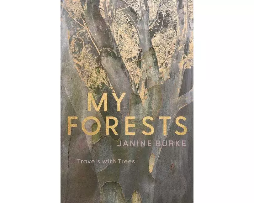My Forests