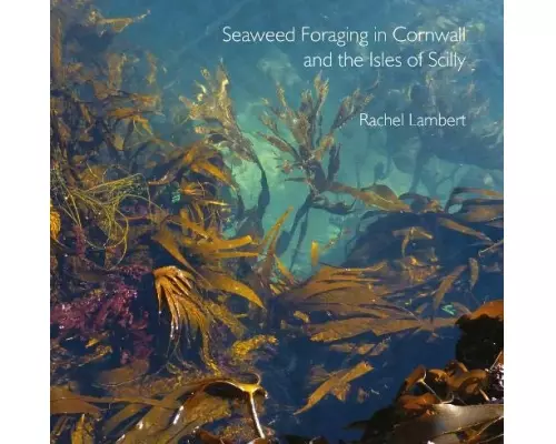 Seaweed Foraging in Cornwall and the Isles of Scilly
