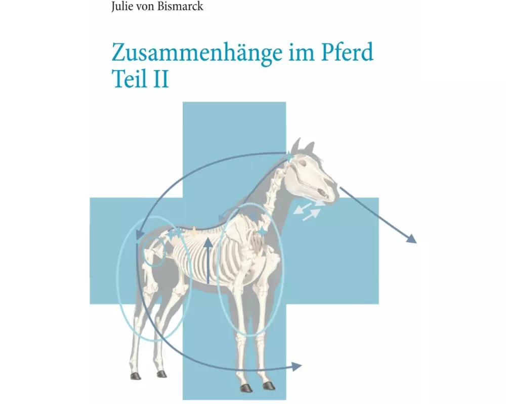 Zusammenhänge im Pferd Teil II