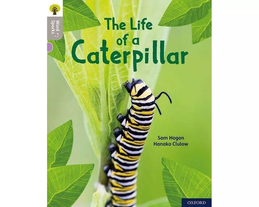 Oxford Reading Tree Word Sparks: Level 1: The Life of a Caterpillar