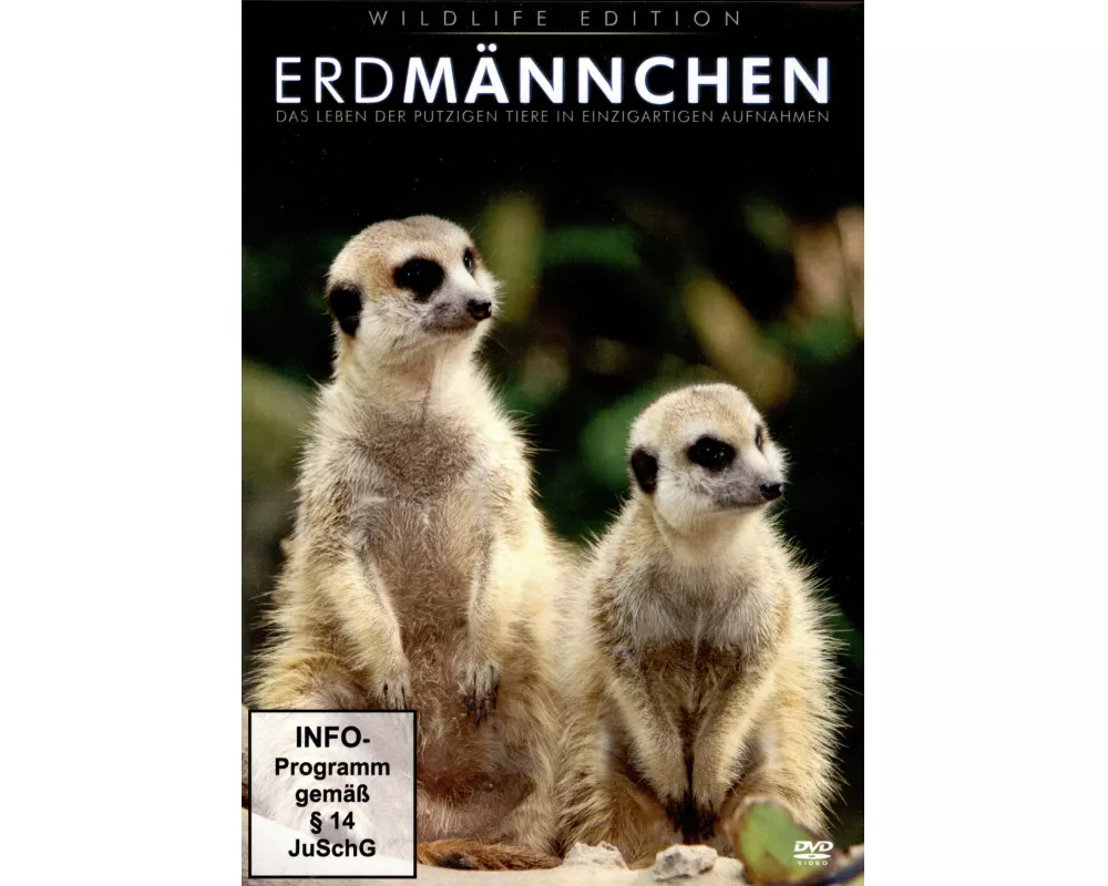 Erdmännchen