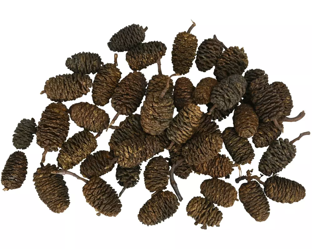 COCON Streudeko Erlenzapfen Natur, 150g