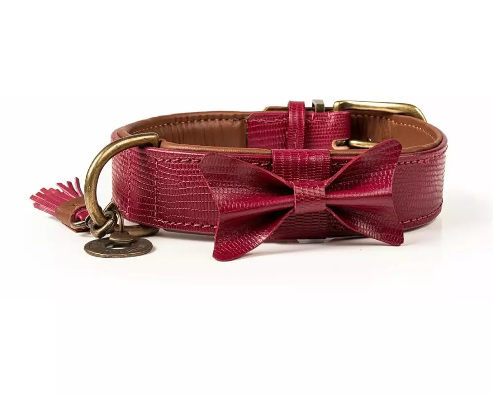 Dog with a mission Halsband Bonnie, XL, 4 cm