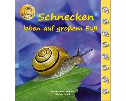 Schnecken