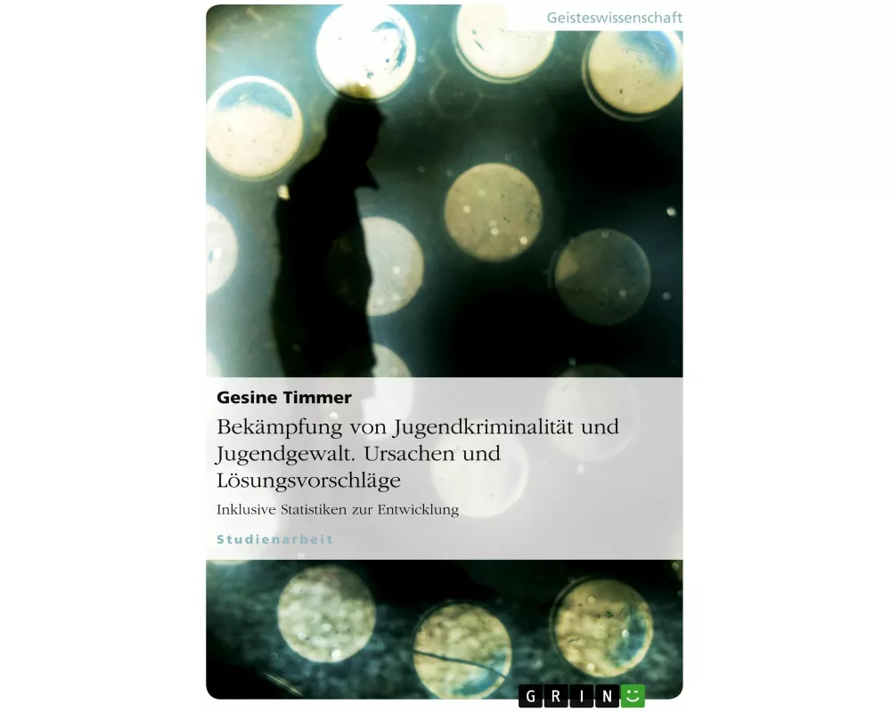 Bekämpfung von Jugendkriminalität und Jugendgewalt. Ursachen und Lösungsvorschläge