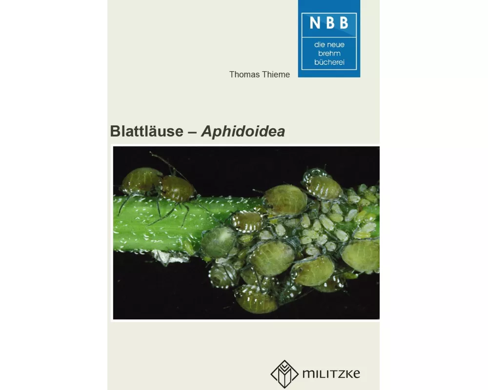 Blattläuse - Aphidoidea
