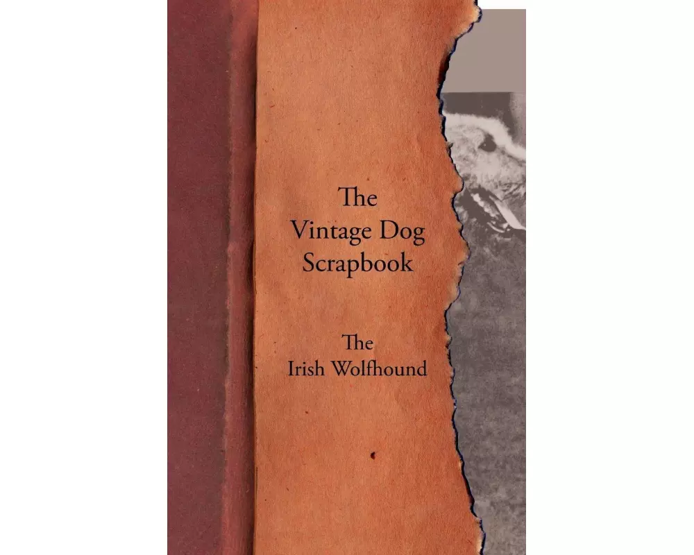 The Vintage Dog Scrapbook - The Irish Wolfhound