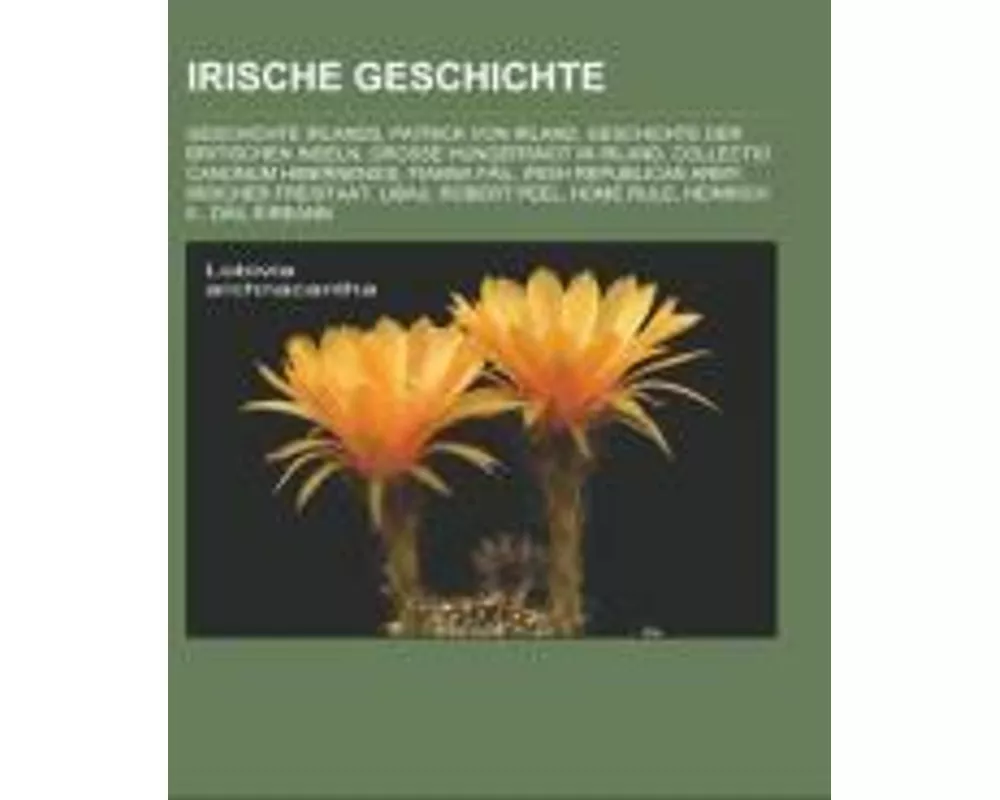 Irische Geschichte