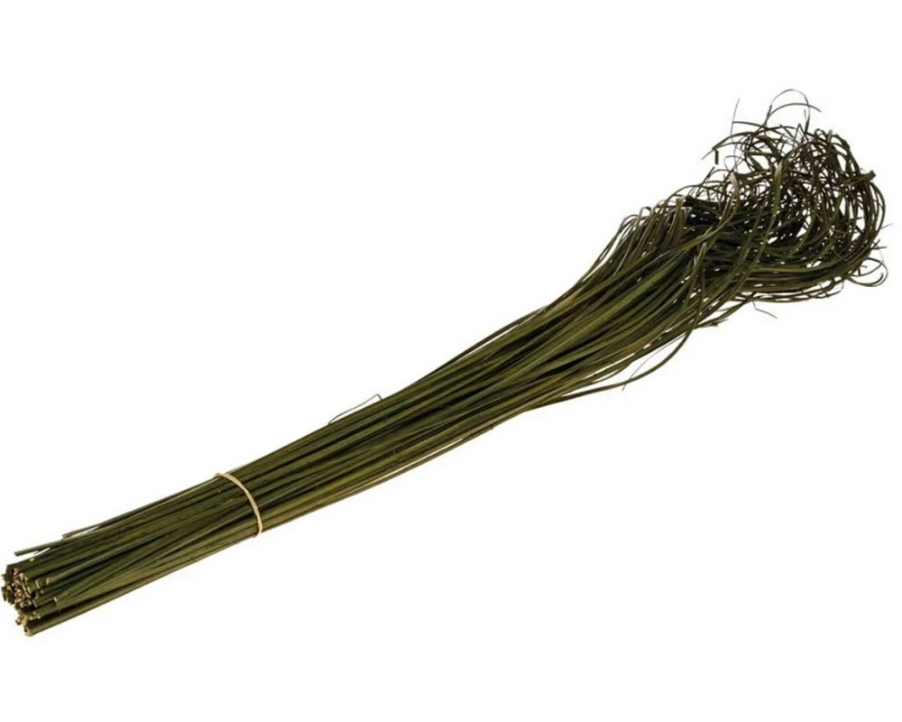 Opiflor Curly Ting moosgrün