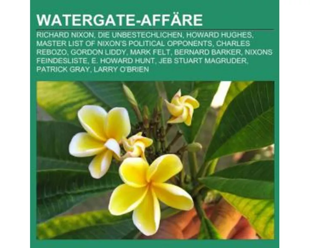 Watergate-Affre