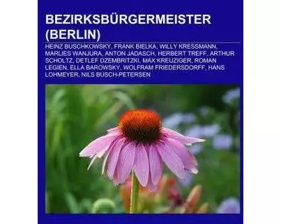 Bezirksbürgermeister (Berlin)