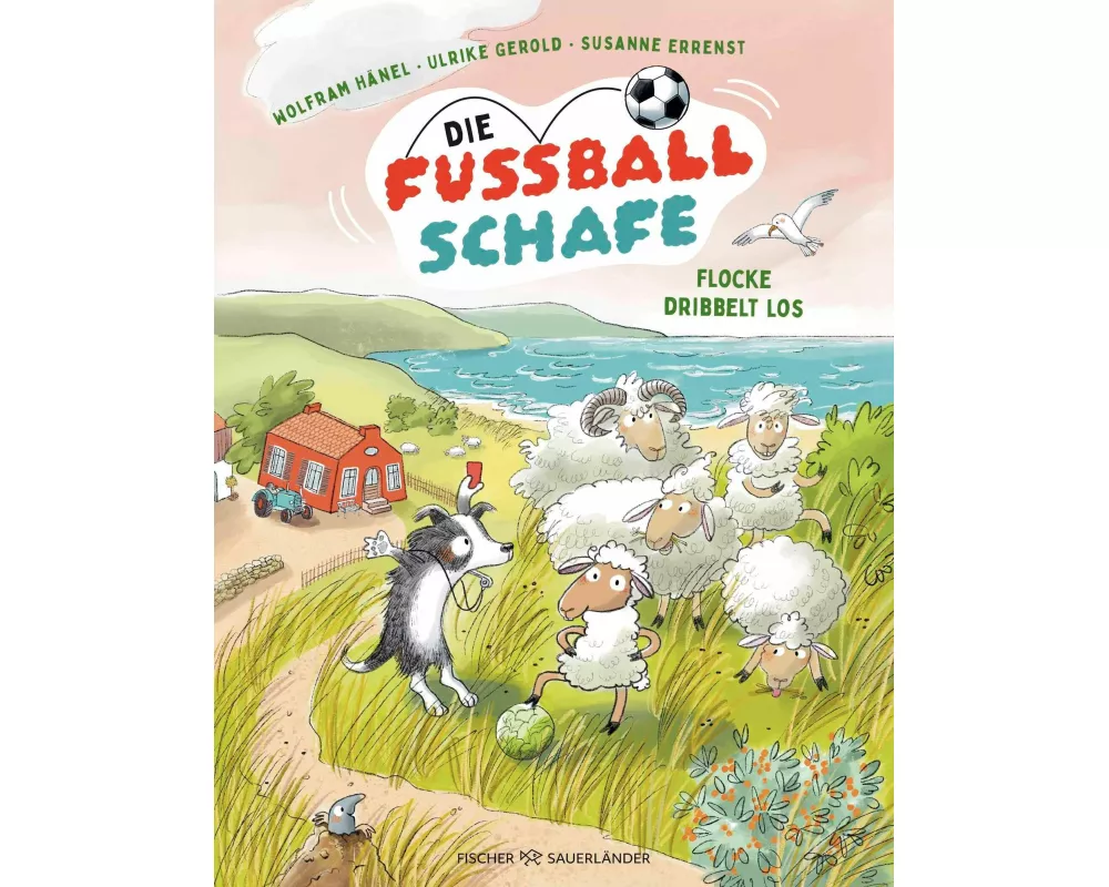 Die Fußballschafe