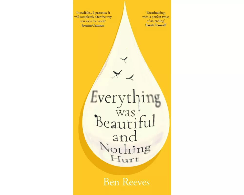 Everything was Beautiful and Nothing Hurt