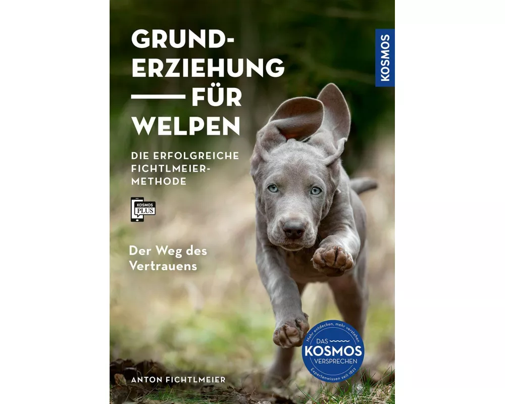Grunderziehung für Welpen