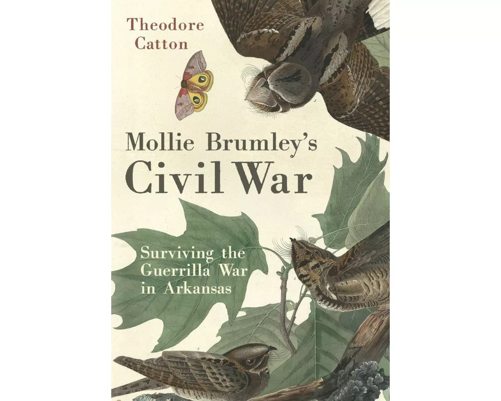 Mollie Brumley's Civil War
