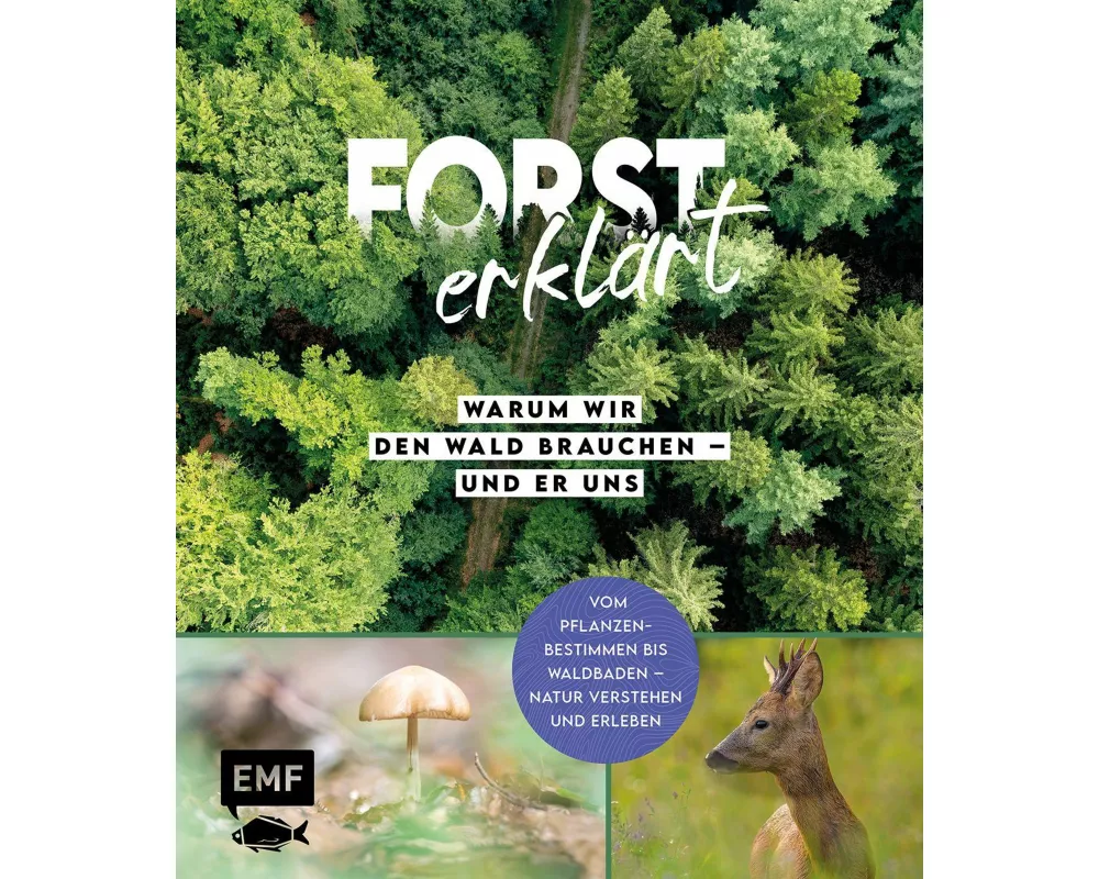 Forst erklärt: Warum wir den Wald brauchen – und er uns