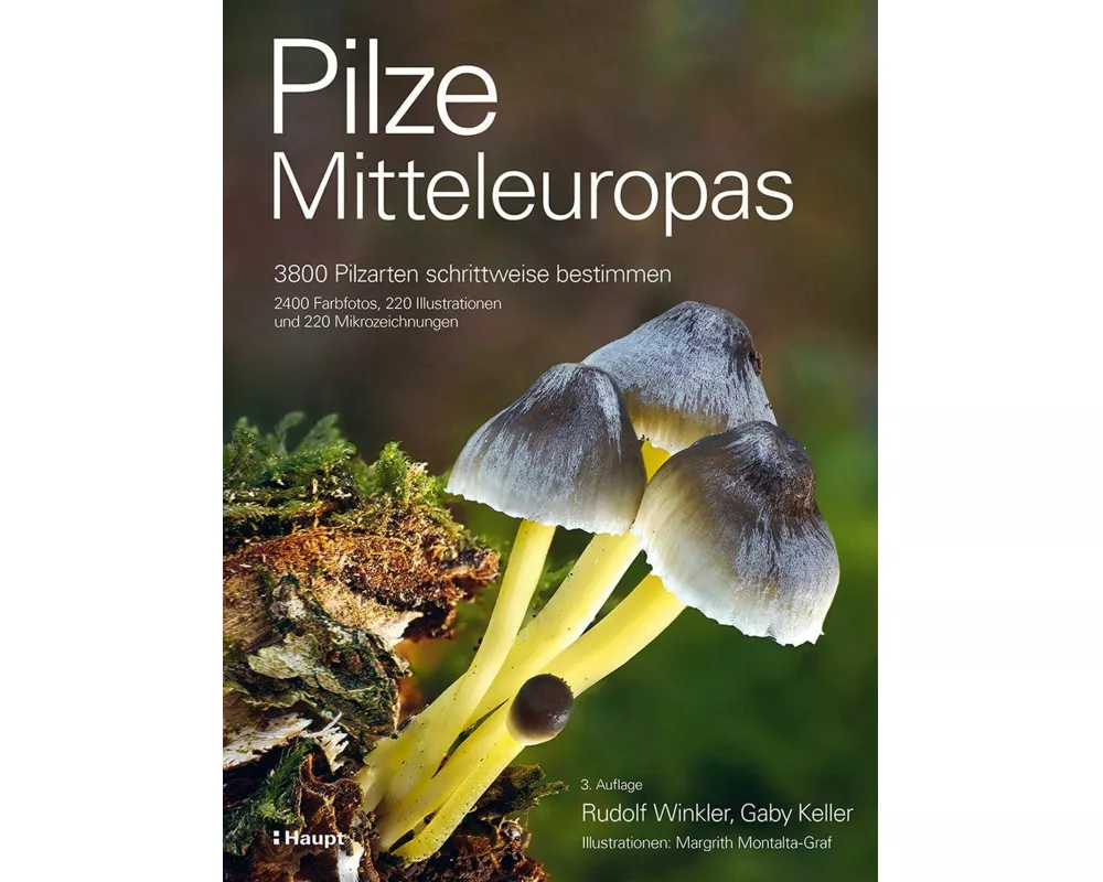 Pilze Mitteleuropas