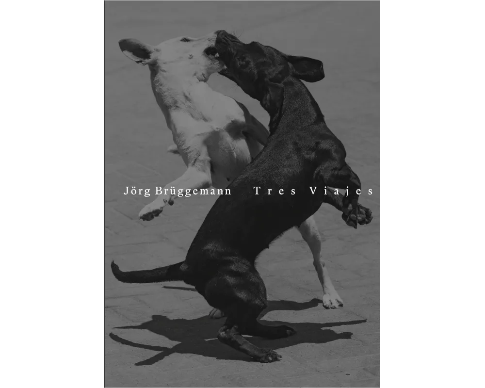 Jörg Brüggemann | Tres Viajes