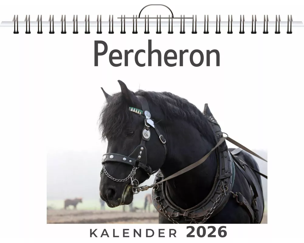 Percheron