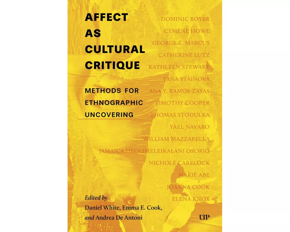 Affect As Cultural Critique
