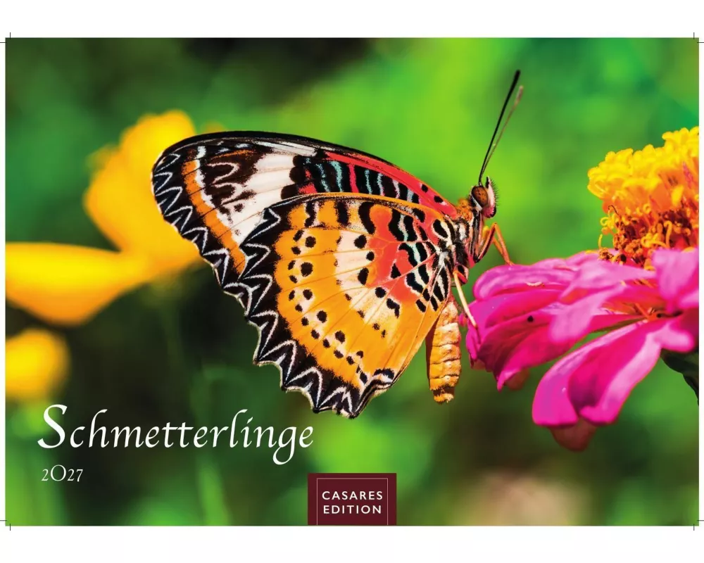 Schmetterlinge Kalender 2027 - Wandkalender | Fotokalender Tierkalender 24x35cm - Mit wunderschönen, detailreichen Bildern von Schmetterlingen