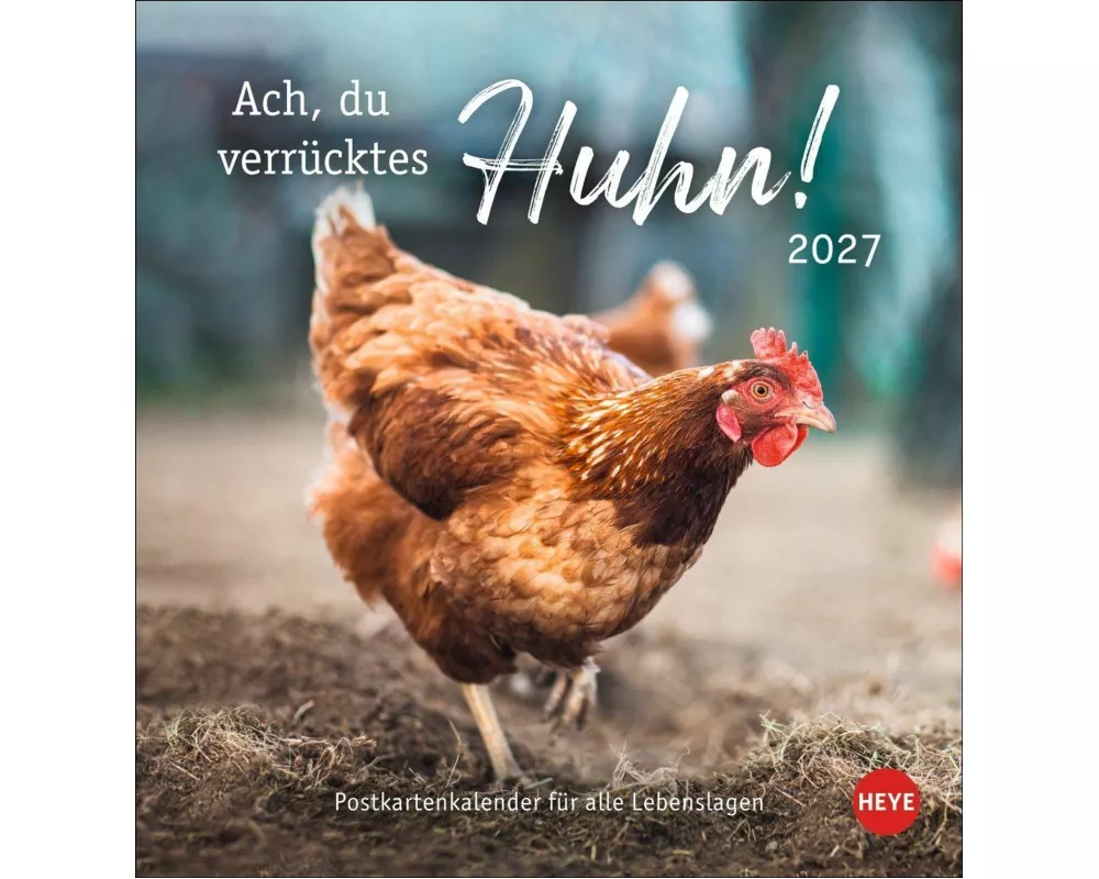 Hühner Postkartenkalender 2027 - Ach, du verrücktes Huhn!