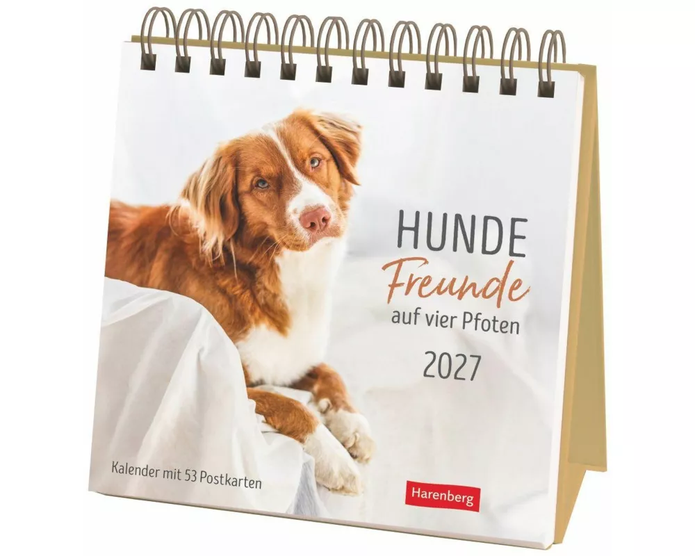 Hunde Premium-Postkartenkalender 2027 - Freunde auf vier Pfoten; Kalender mit 53 Postkarten